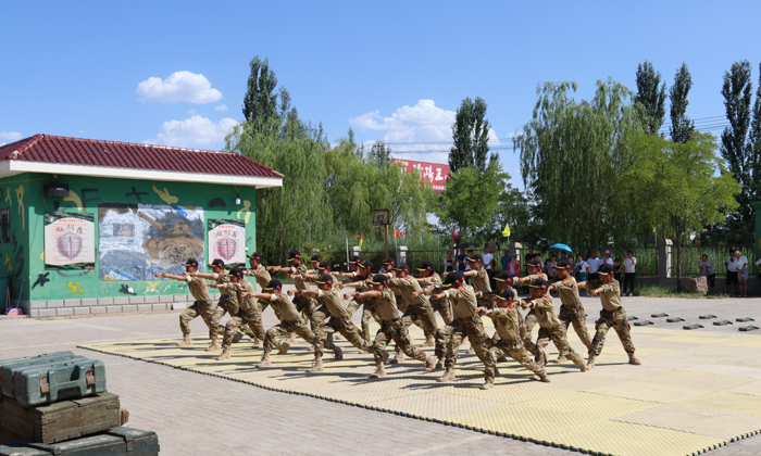 軍中鐵拳