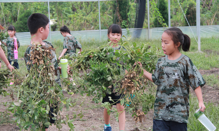 勵志軍事體驗營的招生對象及開營時間.jpg