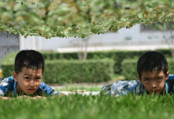 深圳菁英領(lǐng)袖夏令營(yíng)有哪些課程內(nèi)容？
