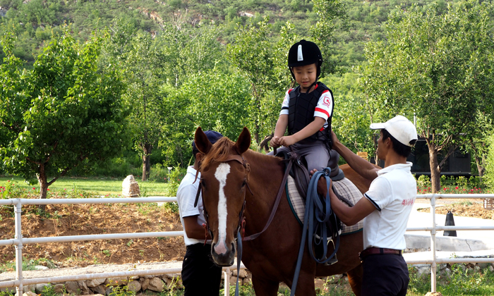 為什么要讓孩子參加馬術夏令營？.jpg