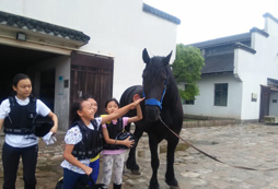 馬術(shù)暑假夏令營(yíng)淺談騎馬安全更有招