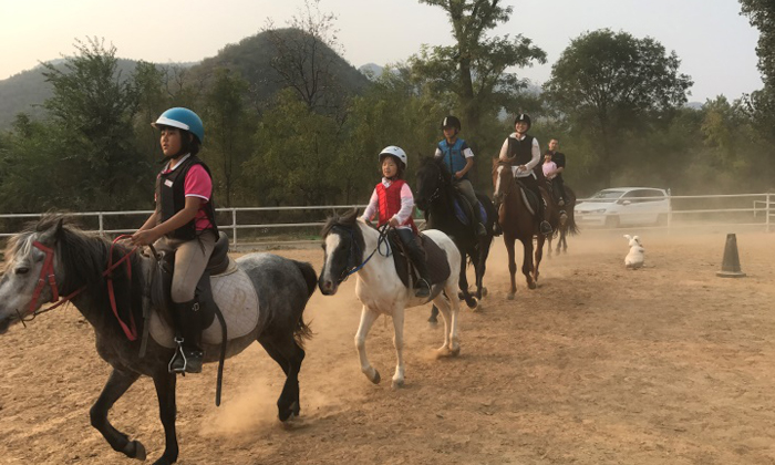 如何為孩子選擇一個優(yōu)質(zhì)的馬術(shù)夏令營？.jpg