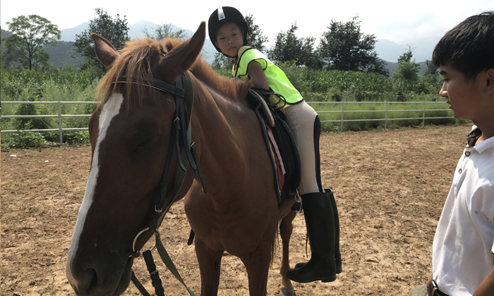 參加北京騎馬夏令營教你騎馬技巧