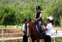 青少年馬術(shù)俱樂部有哪些便宜的活動？