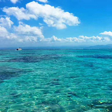 親子游學(xué)與你共約這個夏天