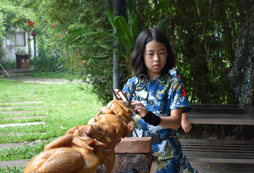 好多烤雞