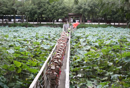 迷彩少年軍事夏令營是專業(yè)訓(xùn)練機(jī)構(gòu)嗎？