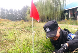 臥草埋伏