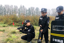 各司其職