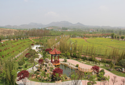 山東名將體育夏令營(yíng)環(huán)境