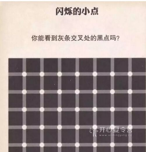閃爍的小點.jpg