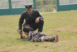 南京軍旅夏令營的師資力量如何？教官水平怎么樣？