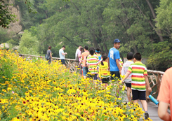 參加南京拓展夏令營(yíng)讓孩子變得勇敢自信