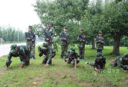 青少年軍事特訓(xùn)營在南京有活動嗎？