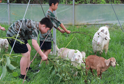 寧波軍事夏令營(yíng)提升青少年綜合素質(zhì)