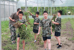 孩子在寧波軍事夏令營能學(xué)到什么？