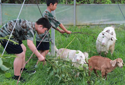 寧波青少年軍事夏令營(yíng)是孩子的不二之選！