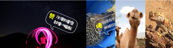 寧夏中小學生夏令營