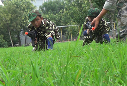 南京弘星軍事夏令營(yíng)怎么樣？