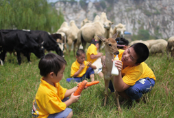 和小動物親密接觸