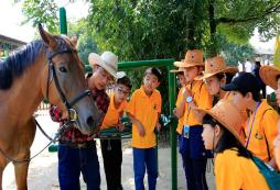 講解馬兒的習(xí)性