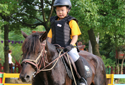 中小學(xué)生馬術(shù)夏令營(yíng)入營(yíng)須知