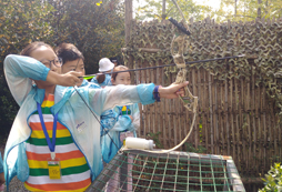 射箭