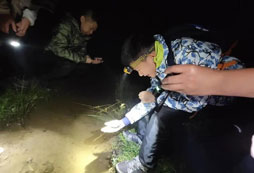 抓小魚
