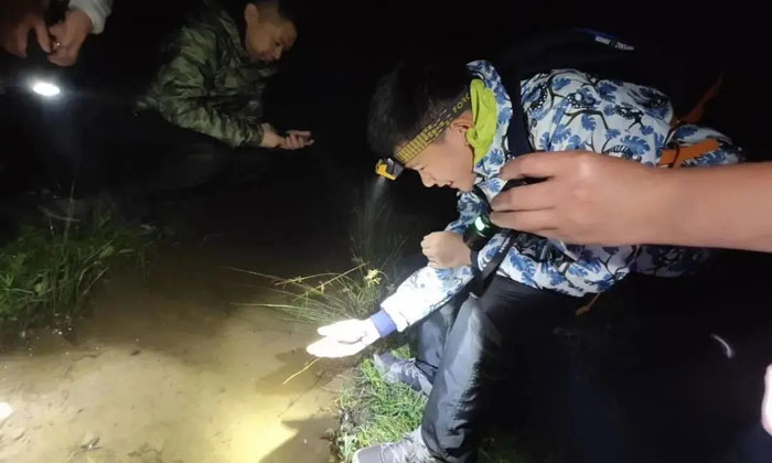 抓小魚