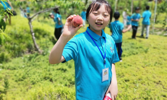 啟明心國學(xué)夏令營課程內(nèi)容
