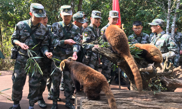 孩子參加軍事夏令營(yíng)有哪些需要注意