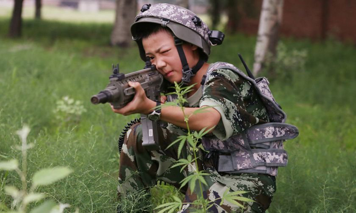 巨峰成長軍事夏令營