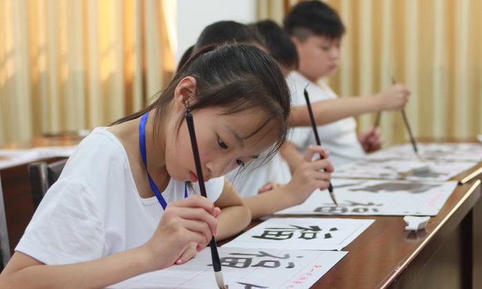 深圳智博匯成長(zhǎng)夏令營(yíng)招生詳情