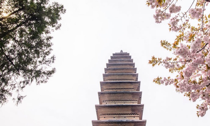 親子游學與你共約這個夏天