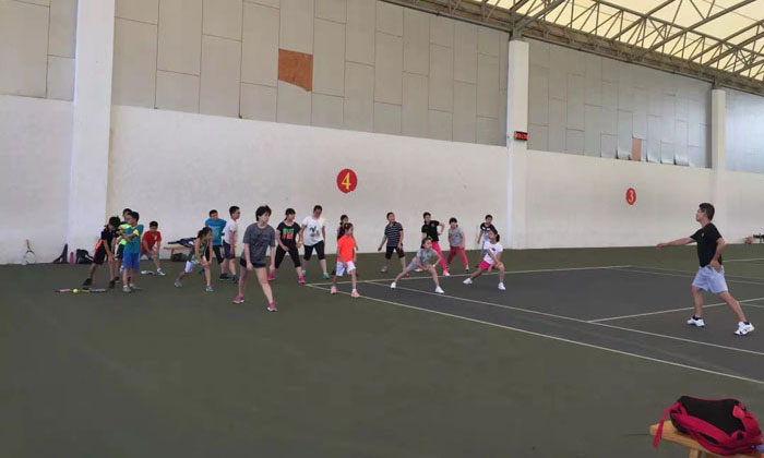 上海拼搏體育