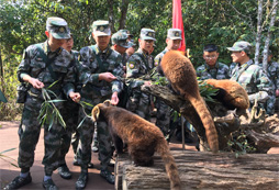 青少年參加普洱軍事夏令營有什么好處？