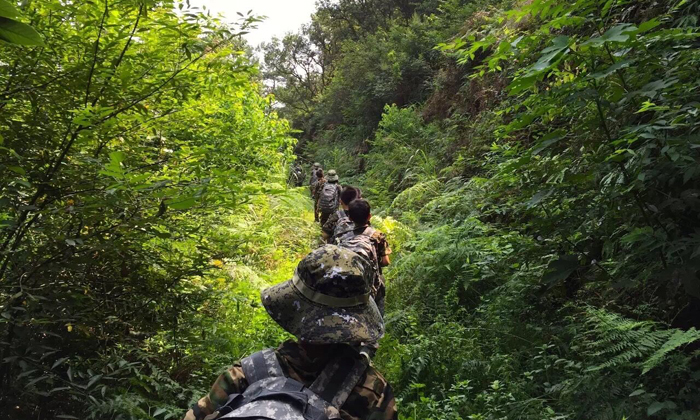 上海暑假軍事夏令營