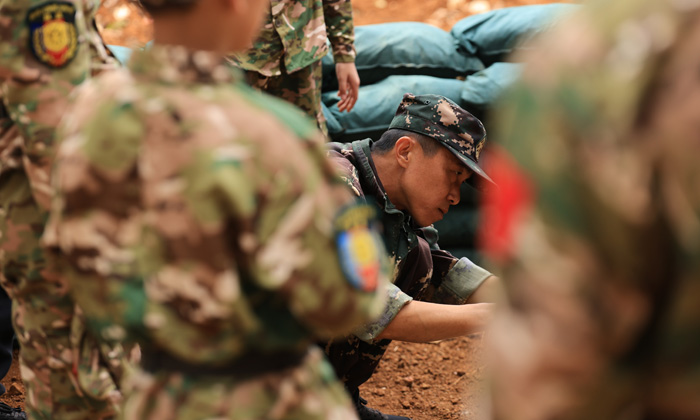 700-24.jpg