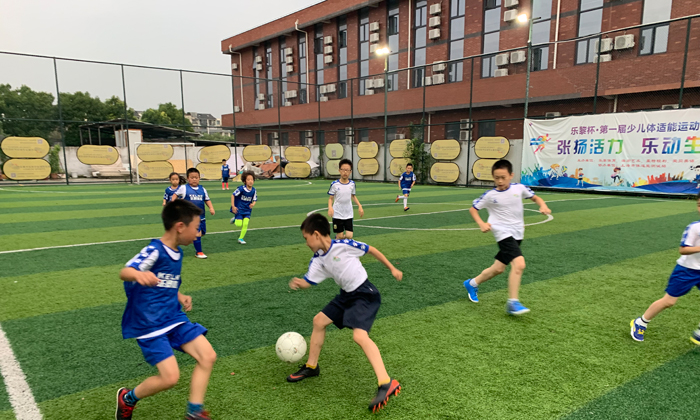 國內(nèi)青少年夏令營有哪些