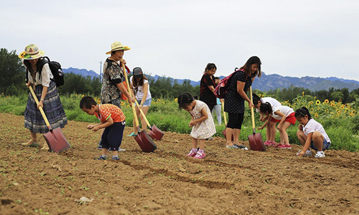 秦皇島體育夏令營(yíng)價(jià)格