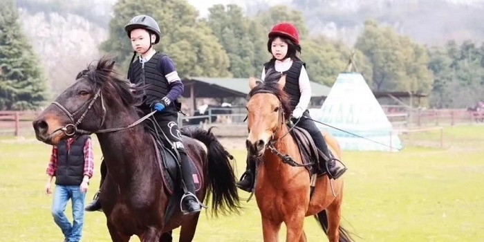 青少年親子活動夏令營品牌排行榜