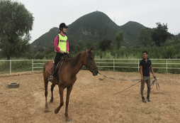 騎馬轉(zhuǎn)一圈