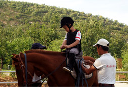 優(yōu)雅的馬術(shù)運(yùn)動培養(yǎng)騎手的氣質(zhì)