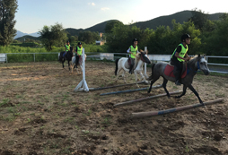 馬術(shù)障礙賽