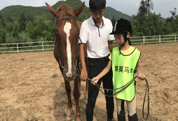 學(xué)習(xí)騎馬