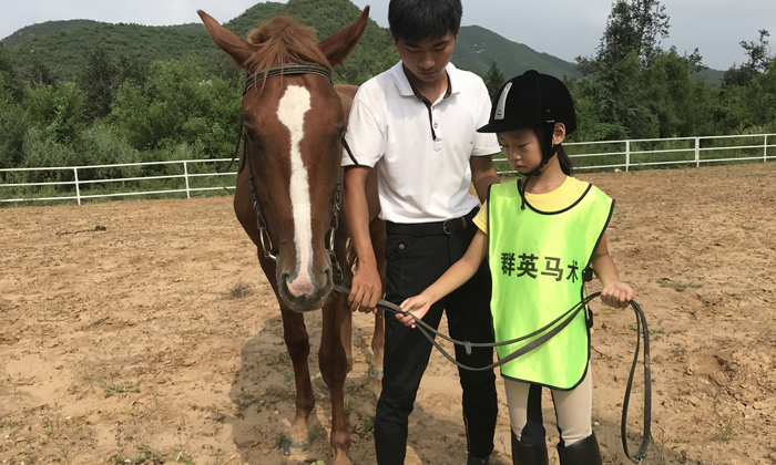 學(xué)習(xí)騎馬
