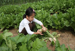 孩子在田野里開心的拔蘿卜