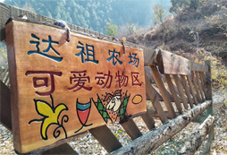 可愛的動物區(qū)