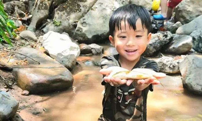 捉魚(yú)