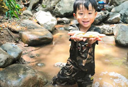 抓到小魚了